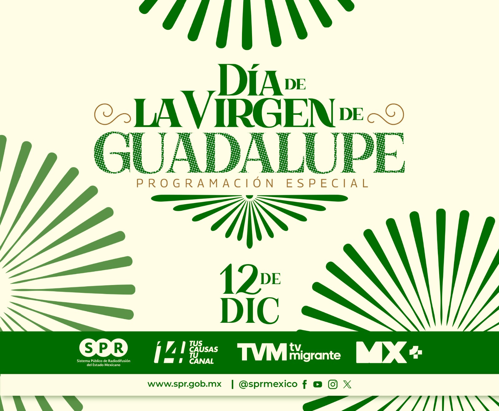 Transmitirán Canal Catorce y TV Migrante programación especial por el “Día de
la Virgen de Guadalupe”

